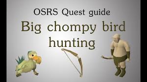 A guide for new oldschool runescape players (full beginner guide). Slayermusiq1 Big Chompy Bird Hunting