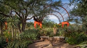 desert botanical garden in camelback