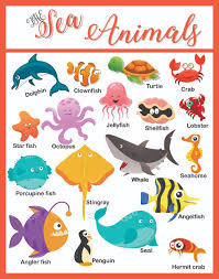 Paper Plane Design Sea Animals Educational Chart Paper