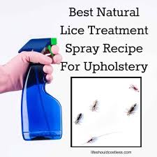 Best Head Lice Treatment Spray Recipe