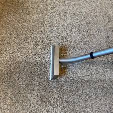benefits of professional carpet cleaning