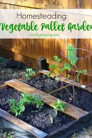 How To Make Pallet Garden Rurally