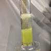 Onion DNA Extraction