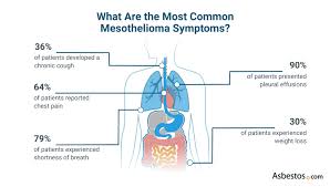 Asbestos is the name of a group of minerals with long, thin fibers. What Are The Symptoms Of Mesothelioma Top Warning Signs