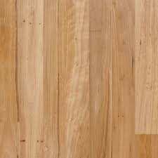Australian Beech Ace Timber Floors