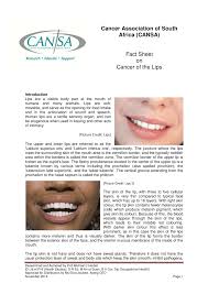 pdf fact sheet on cancer of the lips