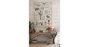 Desert Species Reference Chart Tapestry 70 Plant Tastic