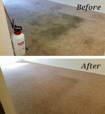 aquadry carpet cleaning