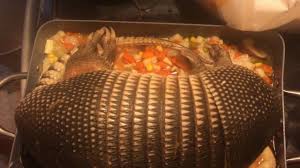 how to cook a armadillo you