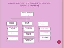 Organizational Chart Of Housekeeping Department In A Small