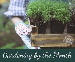 gardening to do lists by month for houston