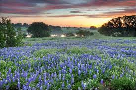 texas hill country wallpaper