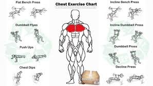 Chest Exercise Chart Best Fitness Workout Arms Abs Body