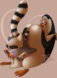Rule34 - If it exists, there is porn of it  king julien, kowalski  4906969