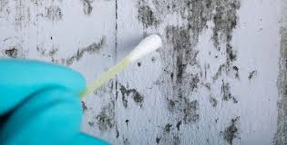 Residential Mold Testing Abatement