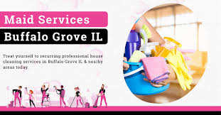buffalo grove il free house cleaning