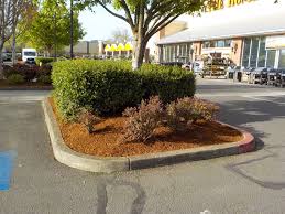 There were only eleven stores, with just over half in the. Home Depot Retail Property Landscape Maintenance Corvallis Commerical And Residential Landscaping And Irrigation Services