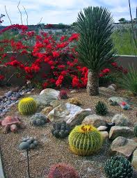 Rock Garden Landscaping Cactus Garden
