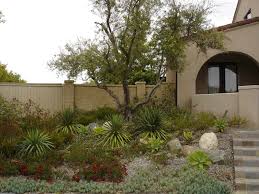 San Diego Landscape Design Ideas