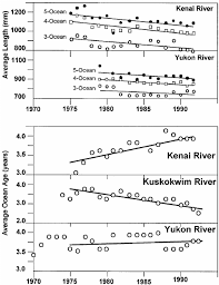 Change In Average Length And Age Among Chinook Salmon From