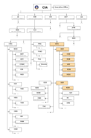 Prototypic Samsung Organisation Chart How Long To Keep