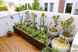 Roof Garden Ideas And How To Make One
