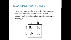 Punnett, who devised the approach. Punnett Square Practice Problems Simple Square Worksheet Word Problem Worksheets Practices Worksheets