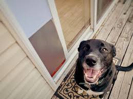 Dog Door Pet Door Pet Door Installation