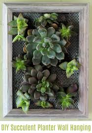 diy succulent wall hanging gorgeous