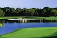 Top Golf Courses to Play in the Sarasota area | Visit Sarasota