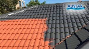 Hire An Experienced Roof Painter