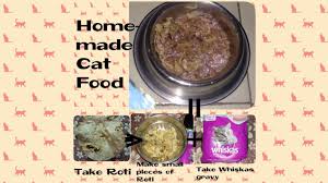 homemade cat food 3 billu singh
