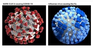 Out of the three types of influenza viruses ( a , b , and c ), influenza a virus is a zoonotic infection with a natural reservoir almost entirely in birds. Influenza Vs Covid 19 What S The Difference Nhcoa