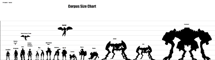Corpus Size Chart General Discussion Warframe Forums