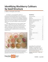Pdf Identifying Blackberry Cultivars By Seed Structure