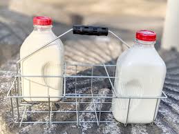 milk bottle carrier red hill general