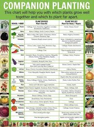 Companion Planting Chart Lots Of Great Info Video Tutorial