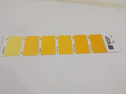 Yellow Nippon Paint Pg62 Shade Card