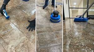 sharks carpet cleaning cleaning