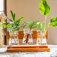 Mumtop 10 4 In X 3 6 In X 5 2 In Plant Terrarium With Wooden Stand Plant Rooting Container Home Office Decoration Gift