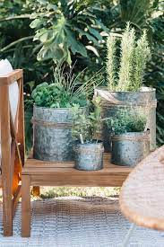 patio herb garden