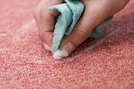 how to clean vomit from carpet