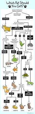 A Handy Flow Chart On How To Choose A Pet Pets Funny