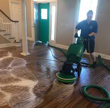 wood floor cleaning polishing
