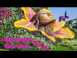 dubai miracle garden 2019 2020 you