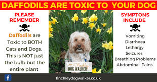 garden plants poisonous to dogs and