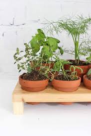 diy indoor herb planter wood stand