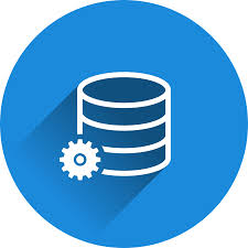 Data Processing and Database