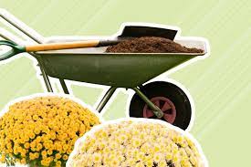 best garden soil delivery services of 2023