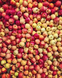 Apple Chart Soergel Orchards